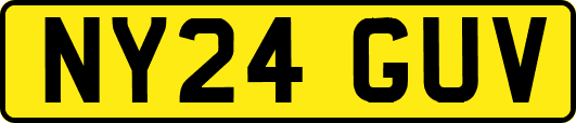 NY24GUV