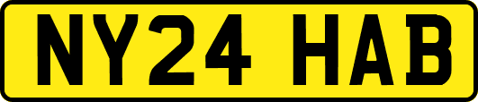 NY24HAB