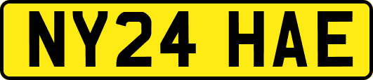 NY24HAE