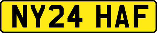 NY24HAF