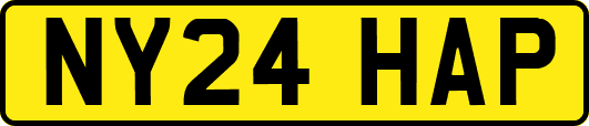 NY24HAP