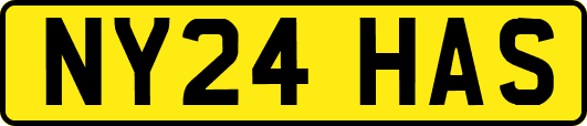 NY24HAS