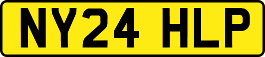 NY24HLP