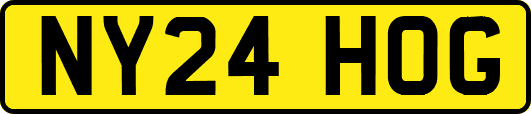 NY24HOG