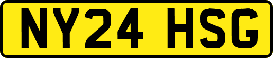 NY24HSG