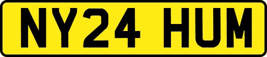 NY24HUM