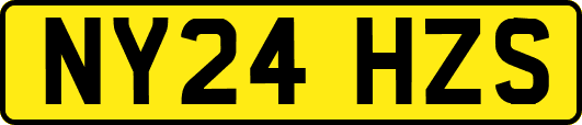 NY24HZS
