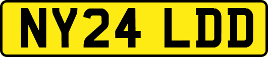 NY24LDD