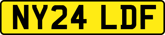 NY24LDF
