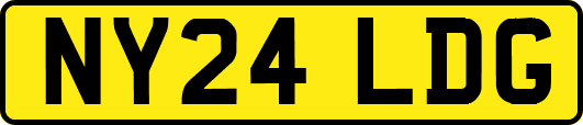 NY24LDG