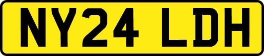 NY24LDH