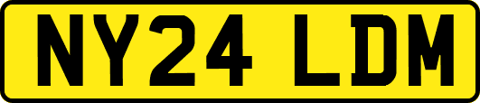 NY24LDM