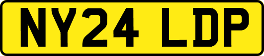 NY24LDP