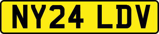 NY24LDV