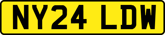 NY24LDW