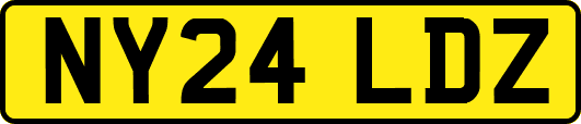 NY24LDZ