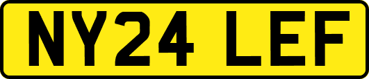 NY24LEF
