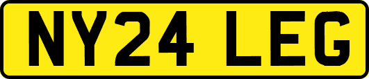 NY24LEG