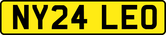 NY24LEO