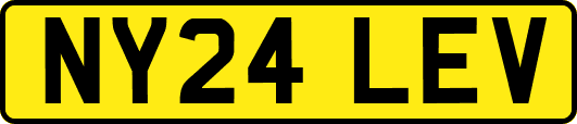 NY24LEV