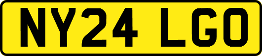 NY24LGO