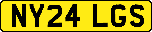 NY24LGS