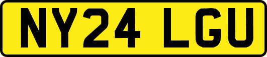 NY24LGU