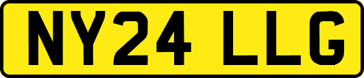 NY24LLG