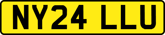 NY24LLU