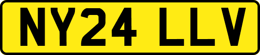NY24LLV