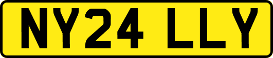 NY24LLY