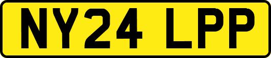 NY24LPP
