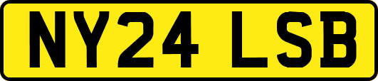 NY24LSB