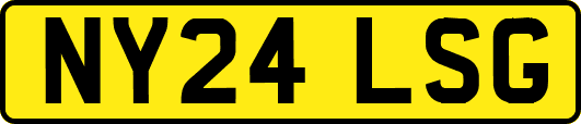 NY24LSG