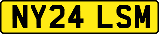 NY24LSM