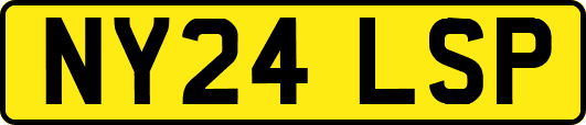 NY24LSP