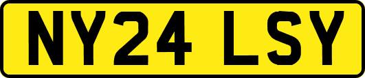 NY24LSY