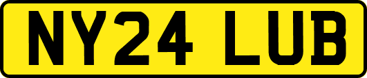 NY24LUB