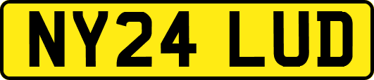 NY24LUD
