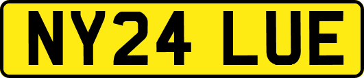 NY24LUE