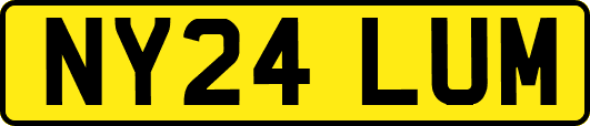 NY24LUM