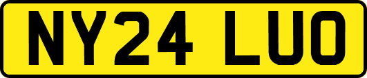 NY24LUO