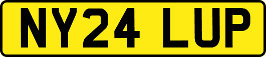 NY24LUP