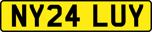 NY24LUY