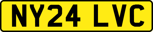 NY24LVC