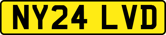 NY24LVD