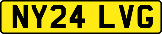 NY24LVG