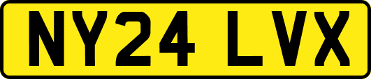 NY24LVX