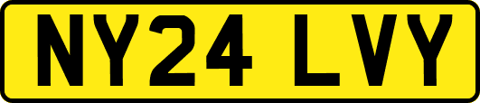 NY24LVY