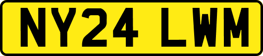 NY24LWM